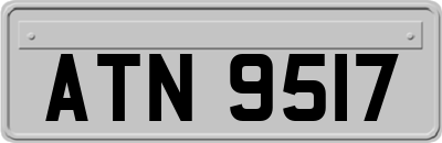 ATN9517