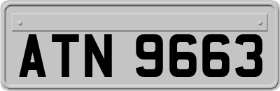 ATN9663
