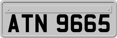 ATN9665