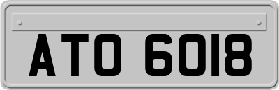 ATO6018