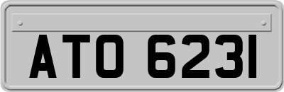 ATO6231