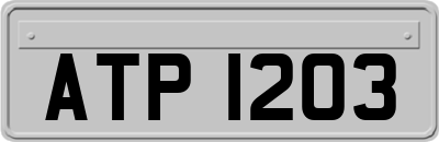 ATP1203