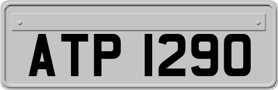 ATP1290