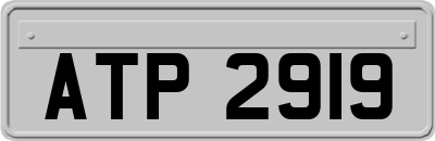 ATP2919