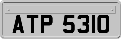 ATP5310