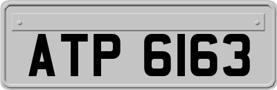 ATP6163
