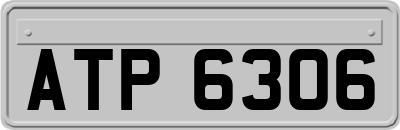 ATP6306