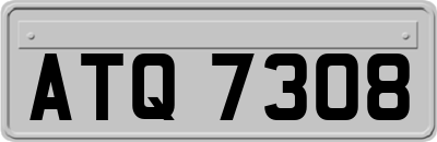 ATQ7308