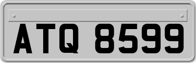 ATQ8599