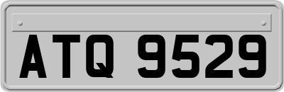 ATQ9529