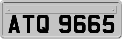 ATQ9665