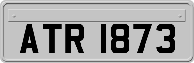 ATR1873