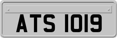 ATS1019