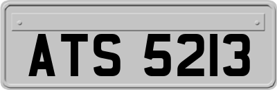 ATS5213