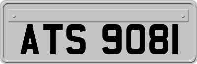 ATS9081