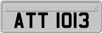 ATT1013