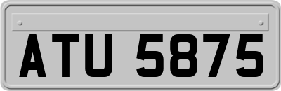 ATU5875