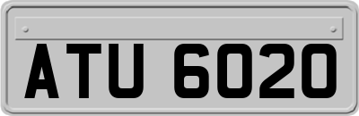 ATU6020