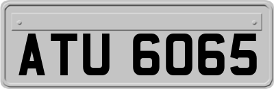 ATU6065