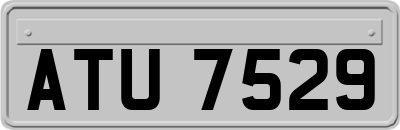ATU7529