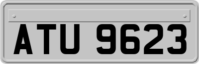 ATU9623