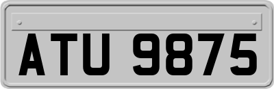 ATU9875