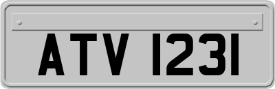 ATV1231