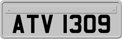 ATV1309