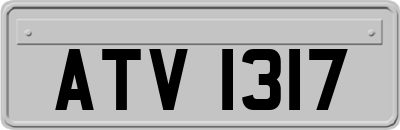 ATV1317