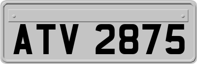 ATV2875