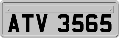 ATV3565