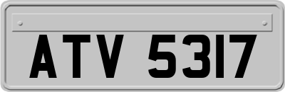 ATV5317