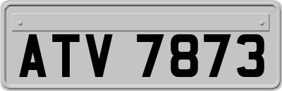 ATV7873