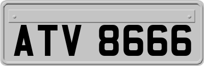 ATV8666