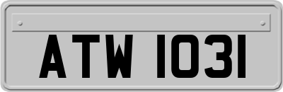 ATW1031