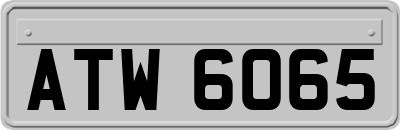 ATW6065