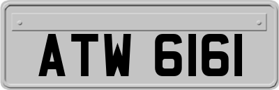 ATW6161