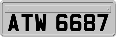 ATW6687