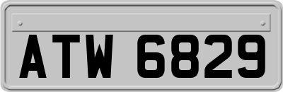 ATW6829