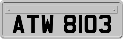 ATW8103