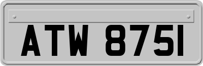 ATW8751