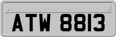 ATW8813