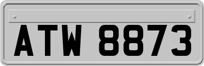 ATW8873