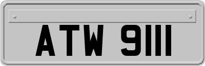 ATW9111
