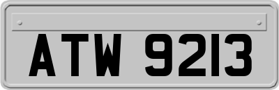 ATW9213