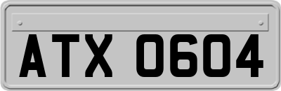 ATX0604