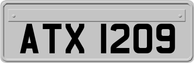 ATX1209