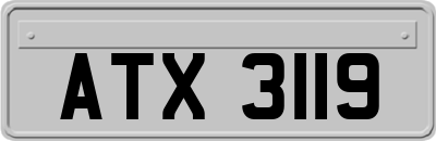 ATX3119