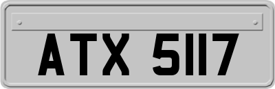 ATX5117
