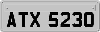 ATX5230